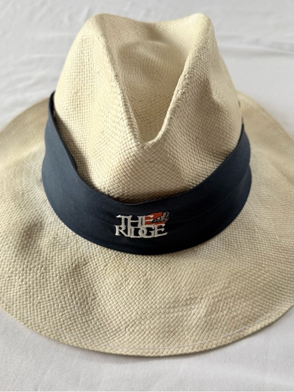 The Ridge Embroidered Fedora Hat in Natural with Blue Band